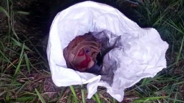 Mau cheiro incomoda moradores do Morumbi; Mesmo após retirada de cachorro morto o odor continua