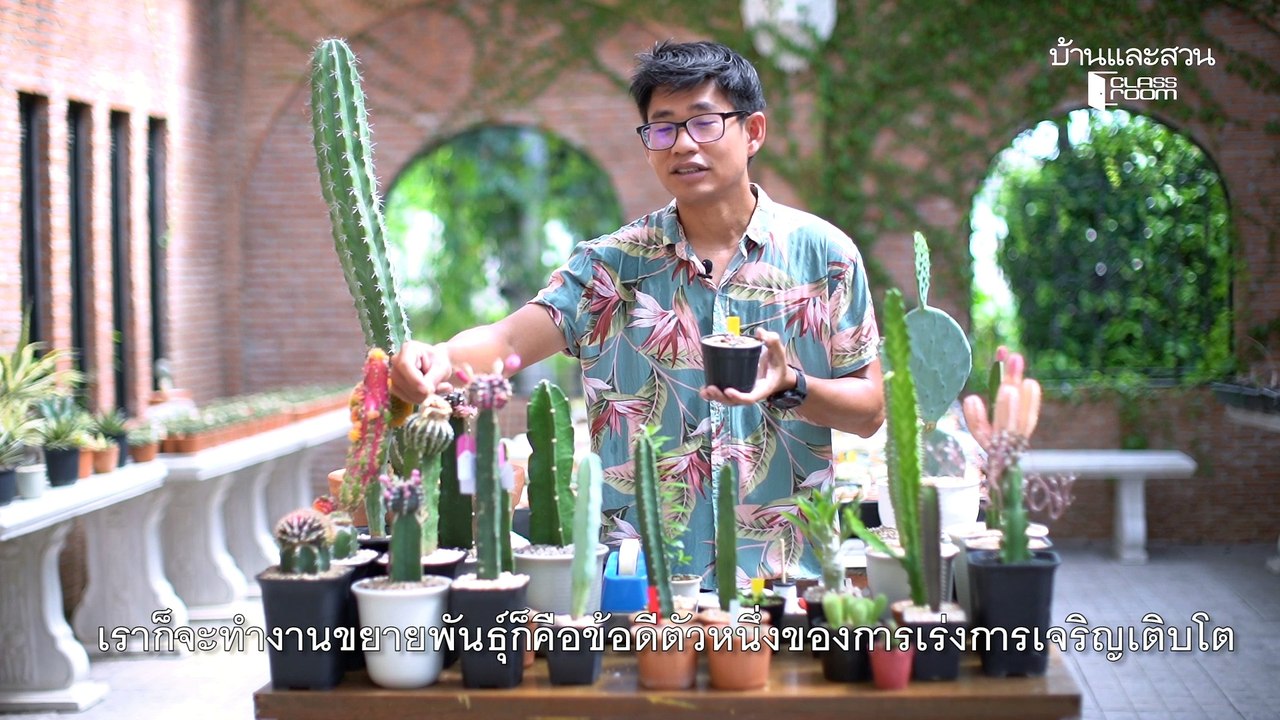 ปลูกเลี้ยงแคคตัสและไม้อวบน้ำแบบมืออาชีพ EP4