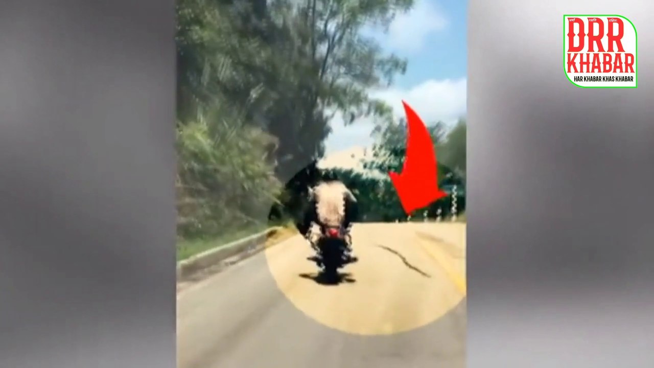 सांप ने उड़ कर चलती बाइक पर किया हमला । snake in bike । snake jump on bike । flying snake real video । Snake attack