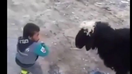 Make Laughing Collection of the Most Gokil Funny Videos 01