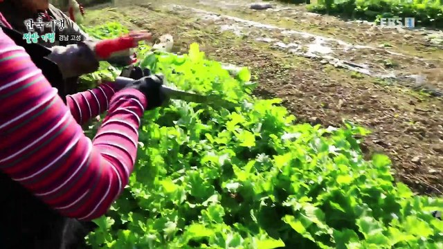 한국기행 - Korea travel_절밥 기행 5부- 가을 레시피 한 그릇_#001