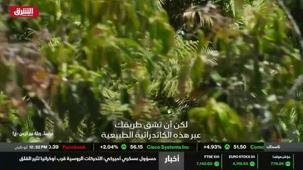 ...مختلفة جدا جغرافيا عصية على التخيل ، حيث...