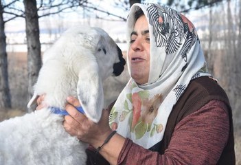 ANNESİNİN KUZUSU 'YAREN'