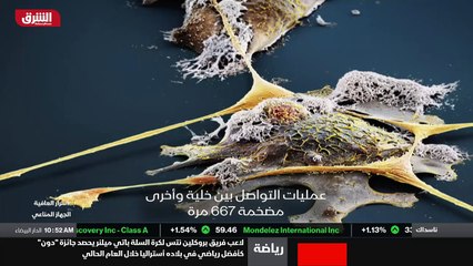 ...نقلا أسرع . بمعنى آخر أن السلوك يلعب دور...