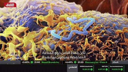 ...حيوانات الأليفة والمرافقة لنا هي اشبه بش...