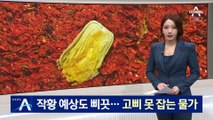 김장철 배춧값, 50% 올라…고삐 못 잡는 물가