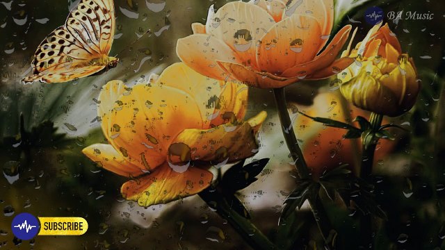 Musik Relaksasi Pengantar Tidur, Relaksasi Otak dengan Suara Air