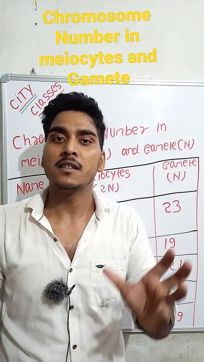 Chromosome number in meiocytes and Gametes | Chromosome number in meiocytes and Gametes in Hindi | chromosome number in meiocytes and Gametes biology  #cityclasses