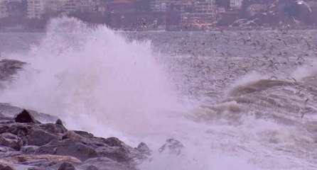 Tải video: Meteoroloji uyarmıştı: İstanbul’a lodos geri döndü