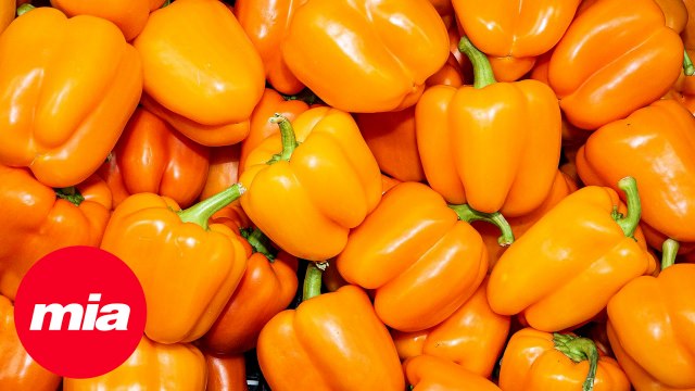 5 hortalizas que no deben faltar en tu cocina