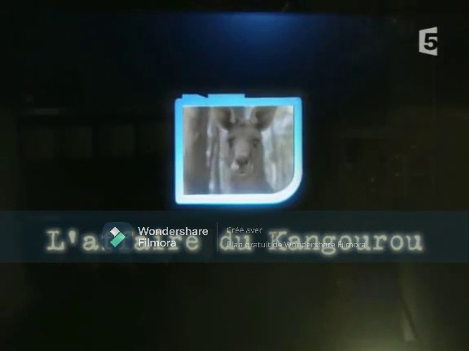 Les détectives de la nature - L'affaire du kangourou