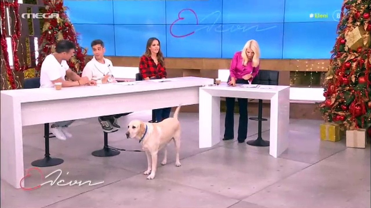 Ελένη Μενεγάκη: «Ξεχάσαμε το ένα παιδί στο σχολείο… Είπα το τέταρτο πού είναι;»