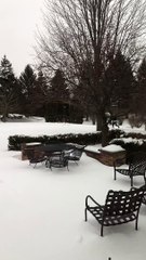 Puppy Loves Playing with Yoga Ball in the Snow