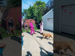 Powder Explodes All Over Wife at Gender Reveal