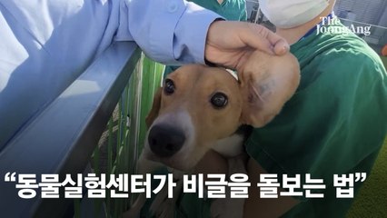 [단독]비글도 여기선 스트레스 없다, 전국 최대 실험견 놀이터 [e즐펀한 토크]