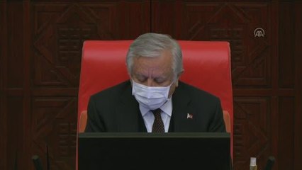 Bakan Pakdemirli: "Orman yangınlarını biz çıkarmadık ama biz söndürdük"