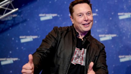 일론 머스크 "일 그만두고 전업 인플루언서 될까 생각 중" / YTN