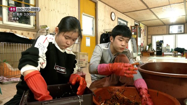 한자리에 모여 김치를 담그는 식구들
