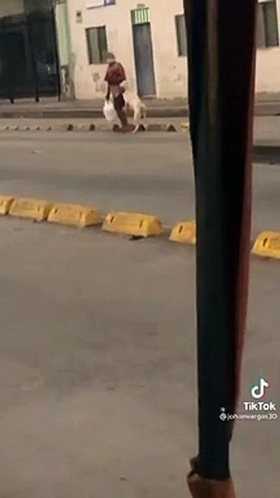 Viral| Perro precavido enternece a internautas