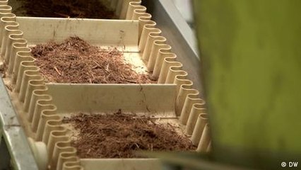 An eco-friendly plastic substitute from Germany