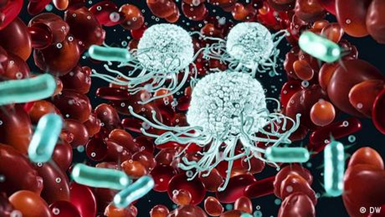 Der Kampf gegen tödliche Erreger