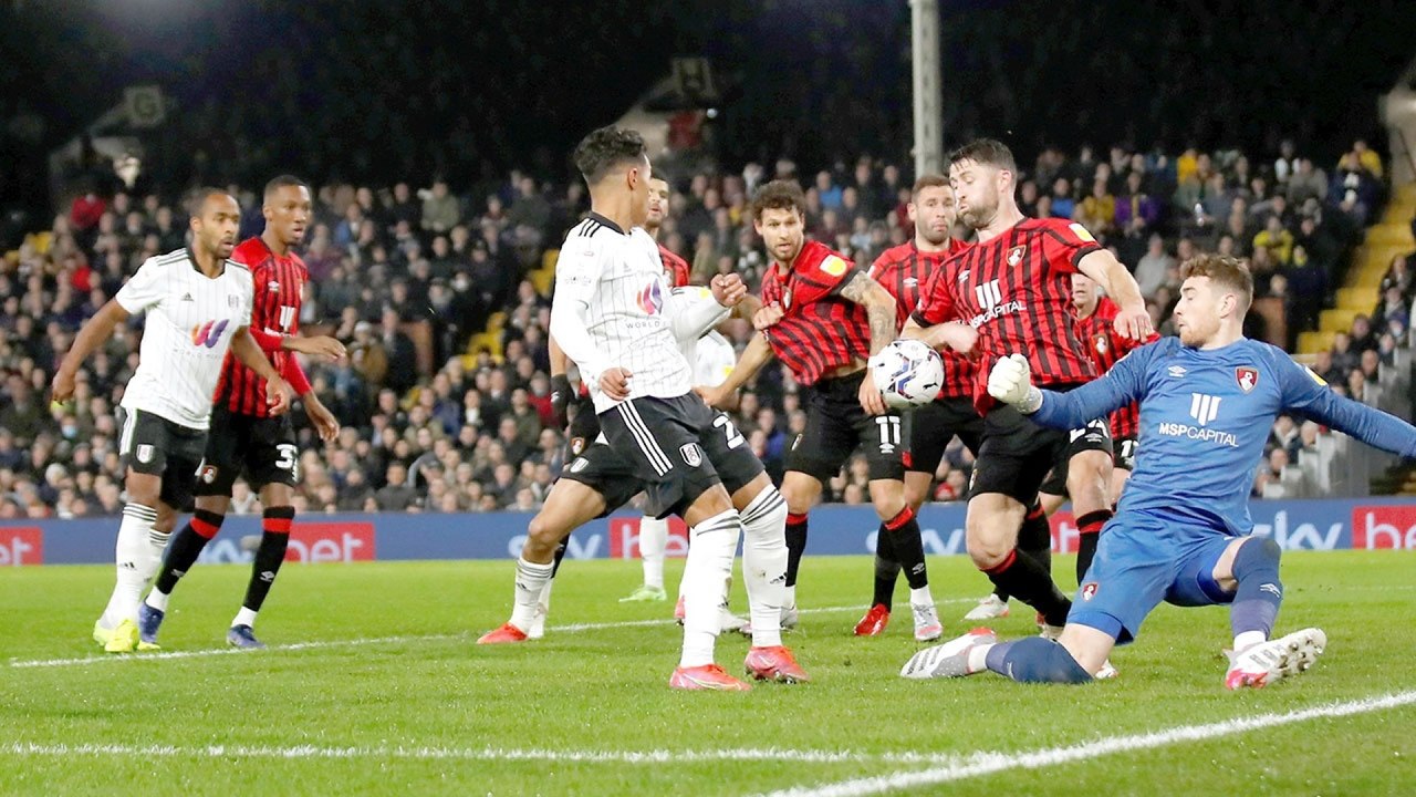 Fulham v Bournemouth
