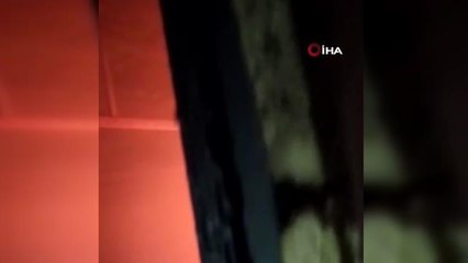 Ahırda çıkan yangında 12 hayvan telef oldu