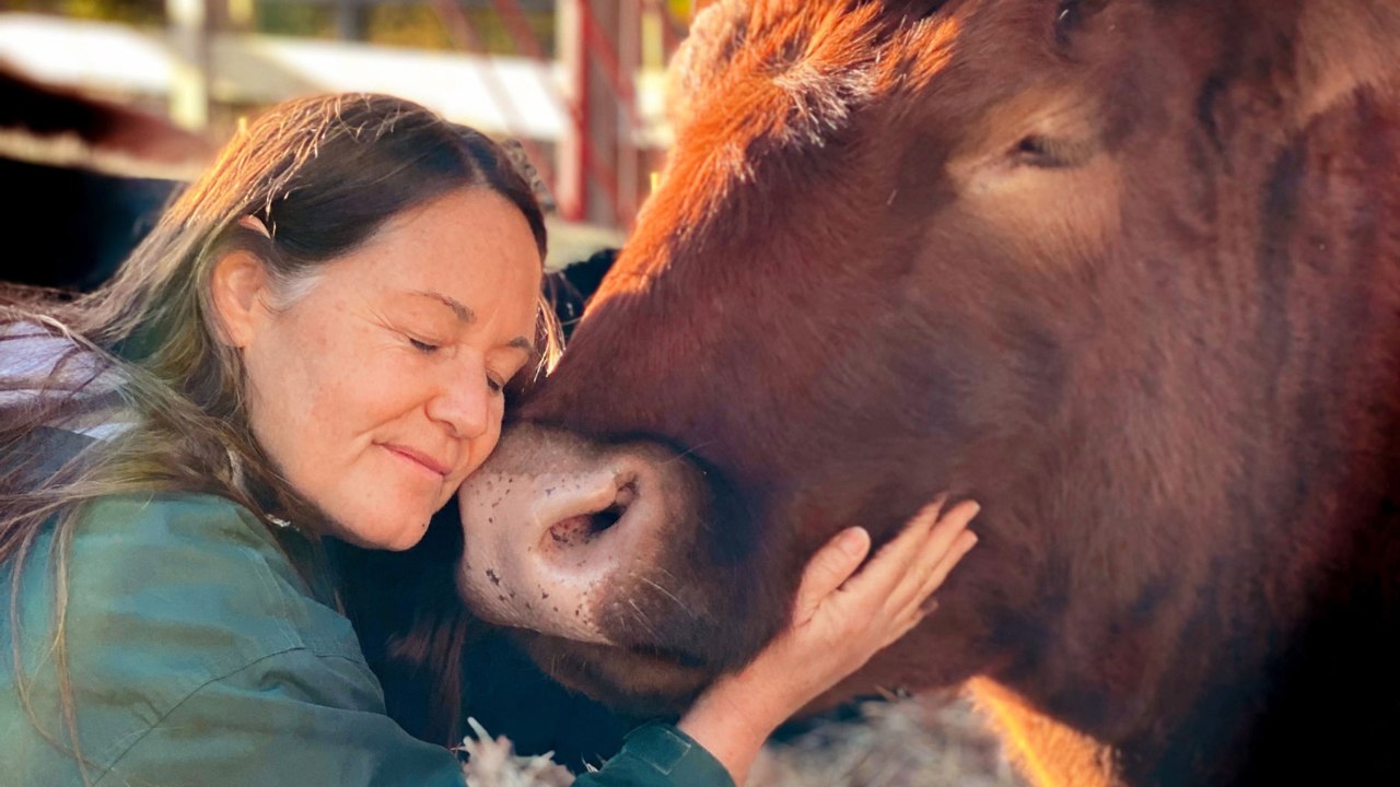 This Animal Rescue Farm Lets You Hug Cows, Cuddle Turkeys, and Give Belly Rubs to Pigs to