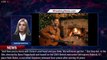 Sandra Bullock and Viola Davis Discuss Their Emotional Scene in The Unforgivable - 1breakingnews.com