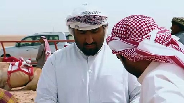 ...في جنوب شرق آسيا ، اعتبر ياماموتو ان بير...