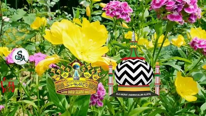 Is Watching TV Haram? | Important Islamic Perspective 📺