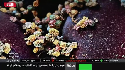 ...وآخرون نادرا ما يمرضون . هل لديهم جهاز م...