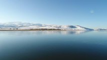 Son dakika haberi | Çıldır Gölü soğukların etkisiyle kısmen dondu