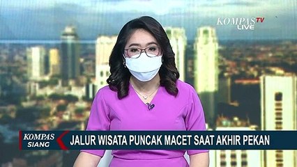 Tải video: Akhir Pekan, Macet di Jalur Wisata Puncak Didominasi Pelat Luar Bogor dan Bus Pariwisata