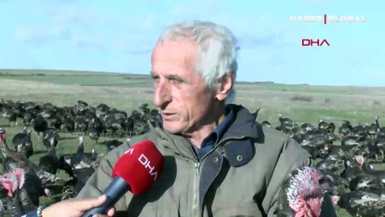 Yılbaşı hindisi 300 lira