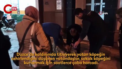 Vatandaşların çabası insanlık ölmemiş dedirtti