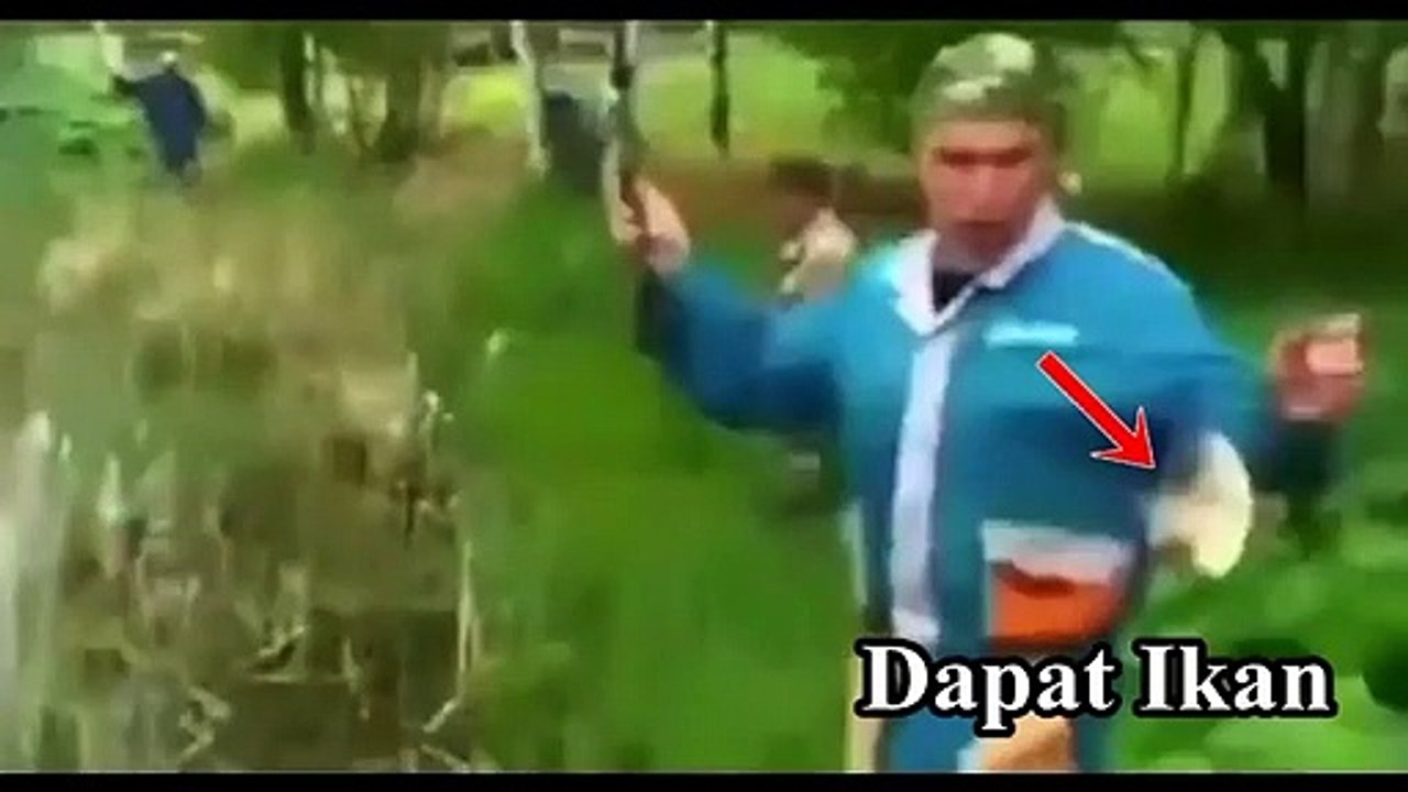 Funny Cat Talking