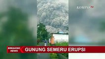 Ini Kesaksian Warga Mengenai Kondisi Terkait Gunung Semeru Meletus