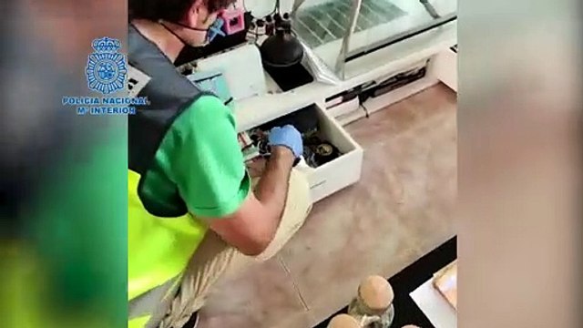 Una operación contra estafas bancarias se salda con 47 detenidos