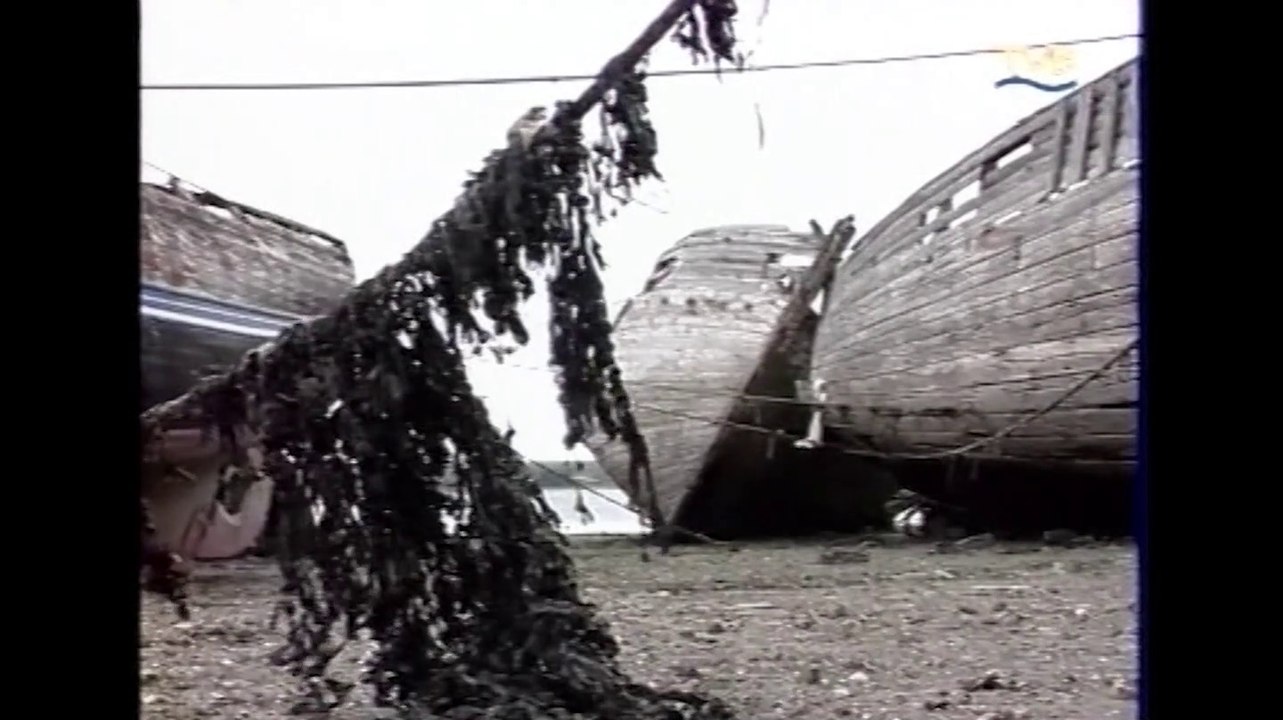 2001 "Que sont-ils devenus ?"  * TV Breizh - Bleu Iroise & Trigone Production