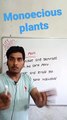 Monoecious plants | monoecious plants in Hindi | monoecious plants biology | what is monoecious plants #cityclasses