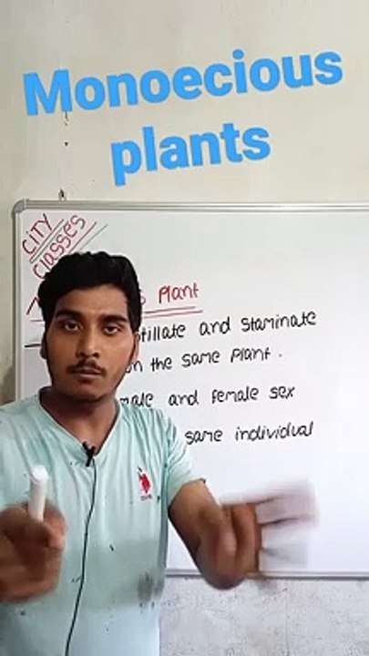 Monoecious plants | monoecious plants in Hindi | monoecious plants biology | what is monoecious plants #cityclasses