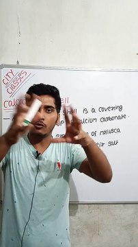 Calcareous shell | calcareous shell in Hindi | calcareous shell biology | what is calcareous shell #cityclasses