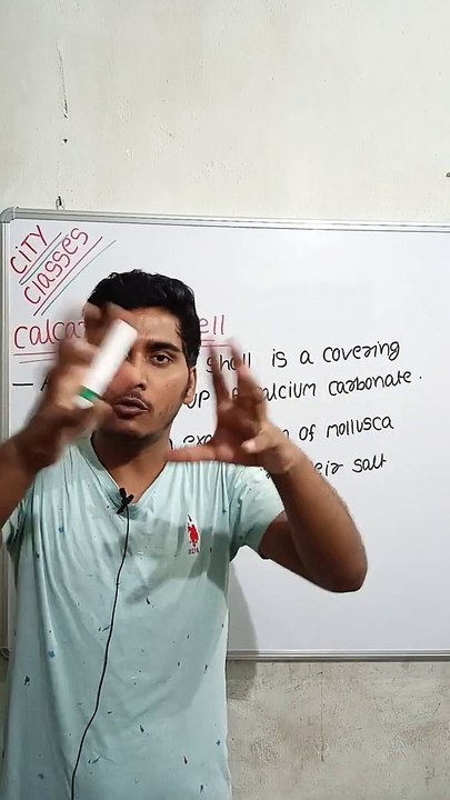 Calcareous shell | calcareous shell in Hindi | calcareous shell biology | what is calcareous shell #cityclasses