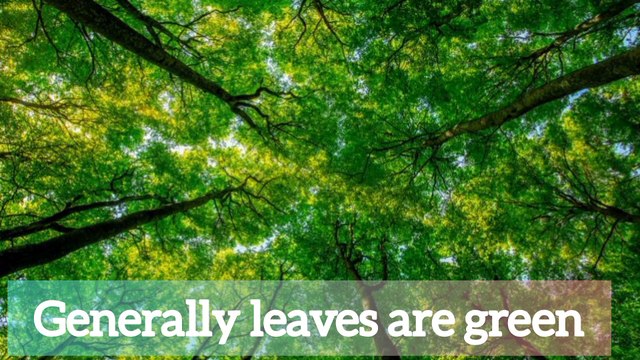 What if deforestation continues.