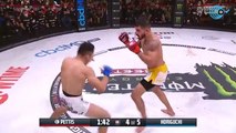 El KO del año en MMA: tenía la pelea perdida y pasa esto