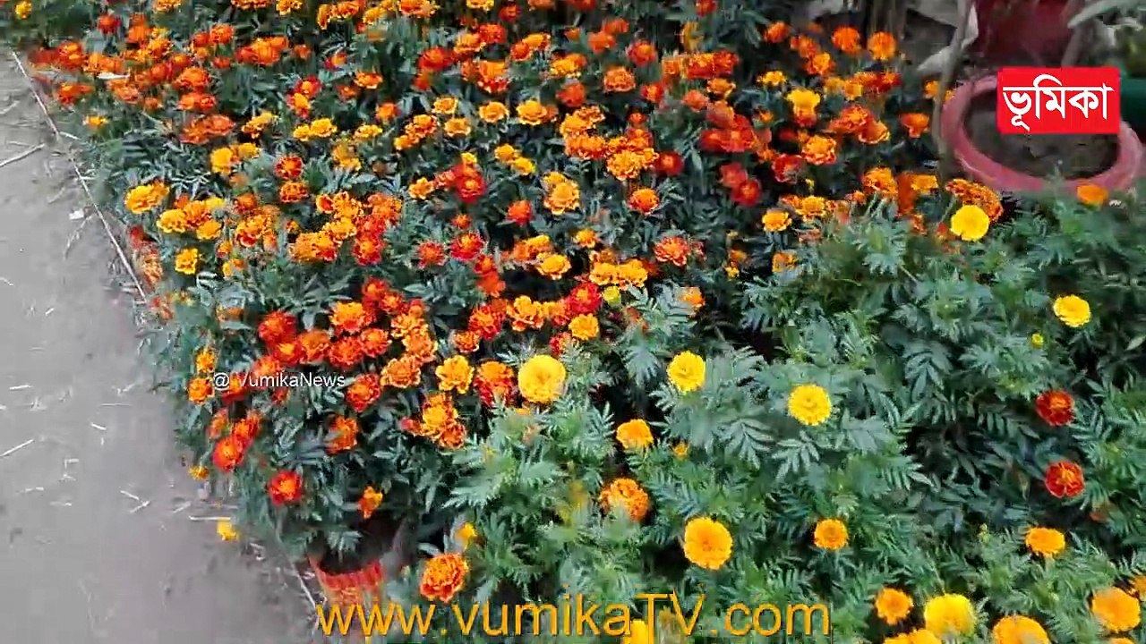 beautiful flower garden in the world | Vumika Agro | | Vumika TV