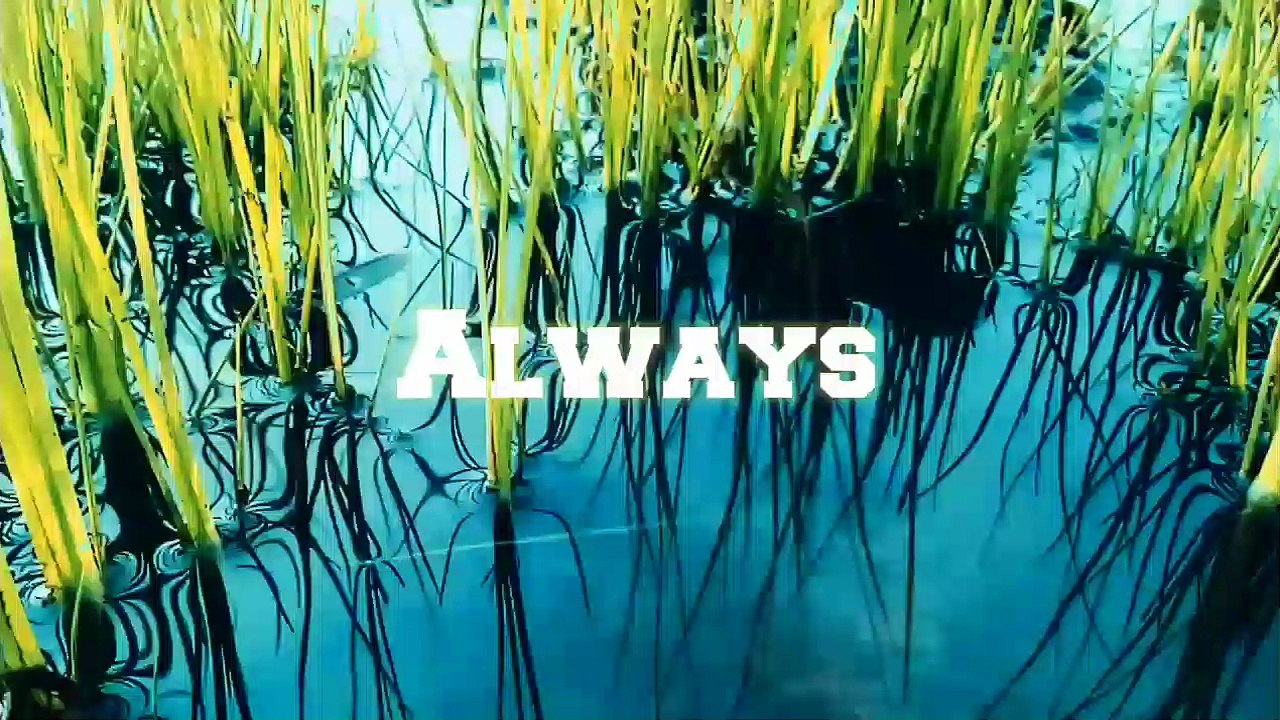 Reff : Always _ Isak Denielson