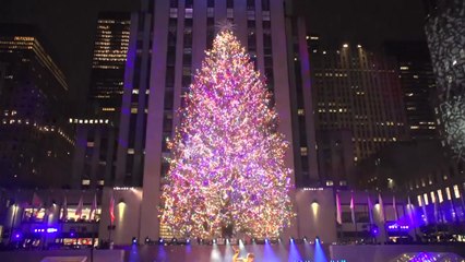 코로나에도 크리스마스는 온다...지구촌 성탄맞이 / YTN