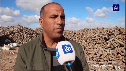 التدفئة على الحطب.. قبلة الهاربين من برد الشتاء